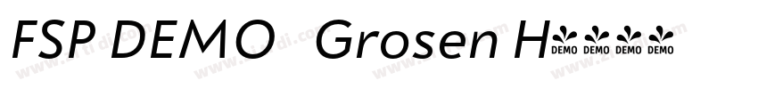 FSP DEMO   Grosen H字体转换